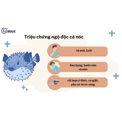 1.4. Triệu chứng của cá nóc